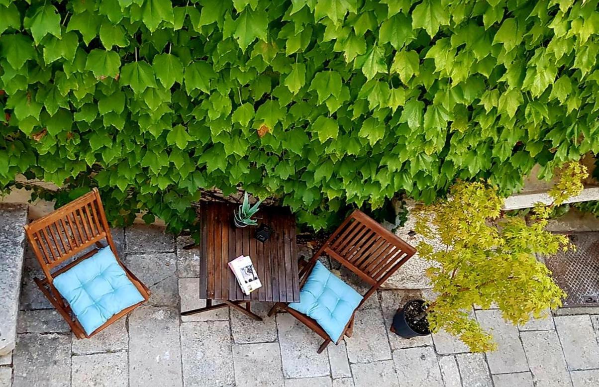 Villa Ani Apartment Coral Ντουμπρόβνικ Εξωτερικό φωτογραφία