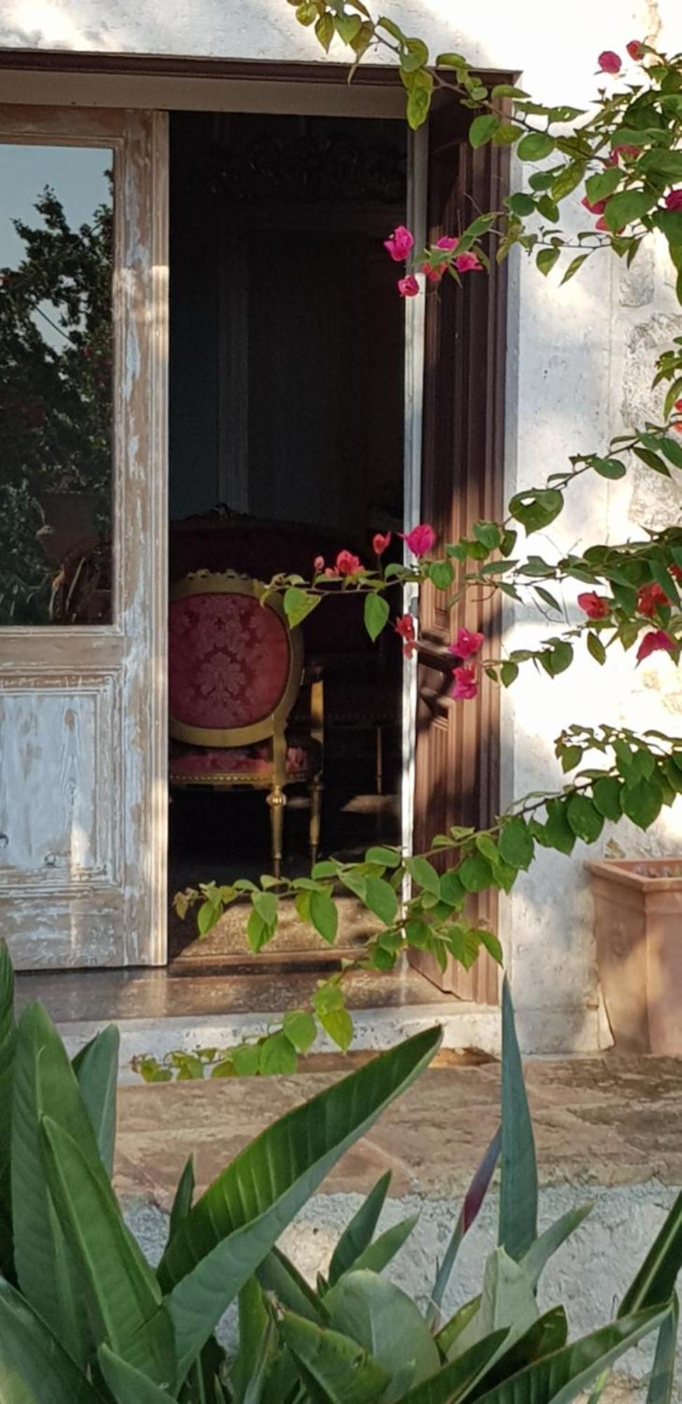 Villa Ani Apartment Coral Ντουμπρόβνικ Εξωτερικό φωτογραφία