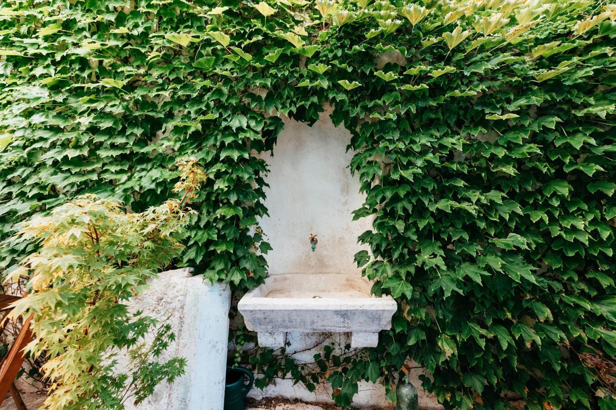 Villa Ani Apartment Coral Ντουμπρόβνικ Εξωτερικό φωτογραφία